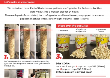 Corn Kernels Reanimation 